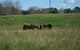 Gin Gin Country Realty - thumb 3