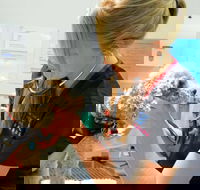 Walker Street Veterinary Surgery - LBG