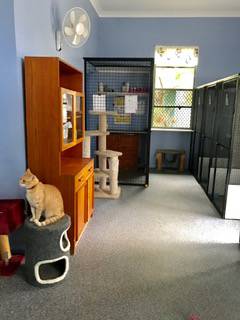 Pinecrest Boarding Kennels & Cattery - LBG 4