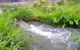 Taree Pumps & Irrigation - thumb 0