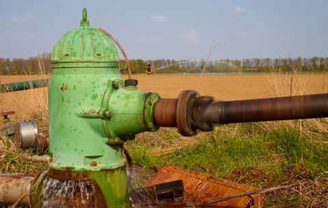 Taree Pumps & Irrigation - LBG 1