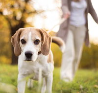 Riverbank Animal Hospital - LBG