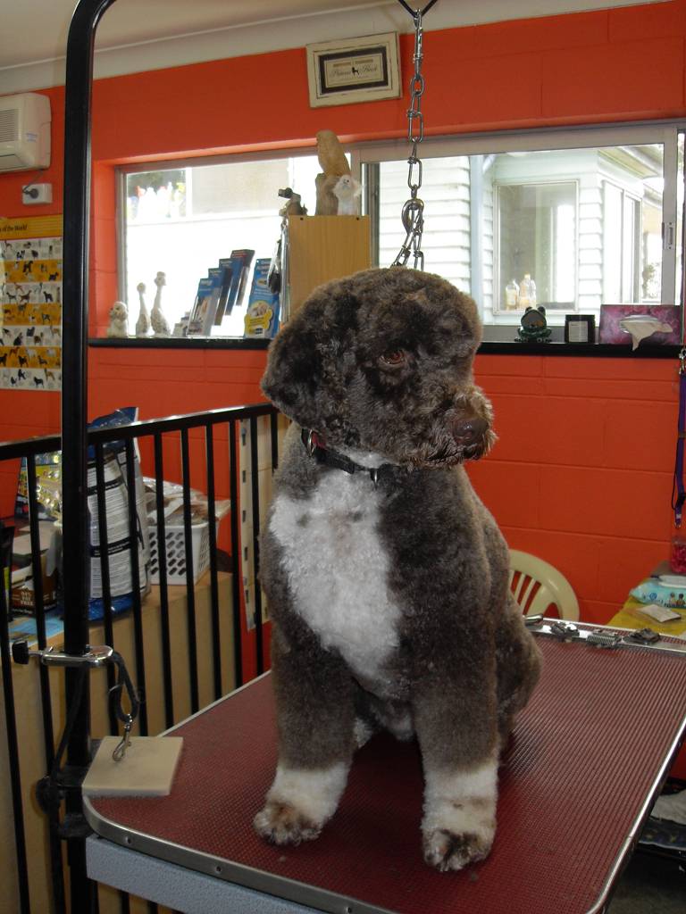 Dog Breeders LBG