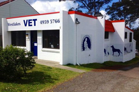 Westlakes Vet Hospital - LBG 0