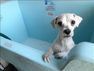 Westlakes Vet Hospital - LBG 3