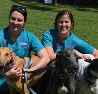 Wallsend Vet Newcastle - LBG