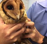 Motto Farm Veterinary Hospital - LBG