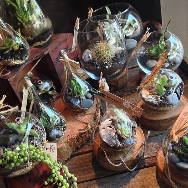 Florists Woolgoolga NSW LBG