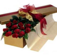 Central Coast Florist - LBG