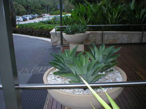 Northern Rivers Plant Hire - LBG 2