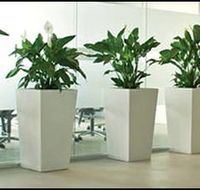 Living Green Indoor Plant Hire - LBG