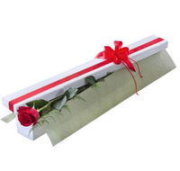 Beerwah Flowers  Gifts - LBG