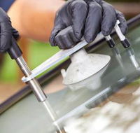 Protector Windscreens - LBG
