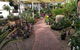 Alice Springs Nursery - thumb 1