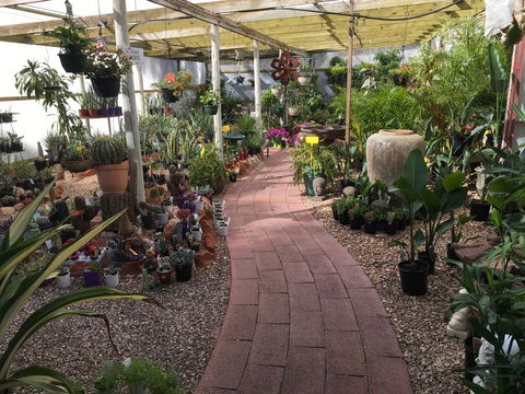 Alice Springs Nursery - LBG 1