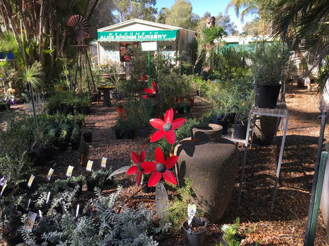 Alice Springs Nursery - LBG 2