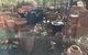 Alice Springs Nursery - thumb 3