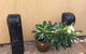 Calligan’s Nursery & Garden Centre - thumb 2