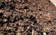 Earthborn Australia - thumb 0