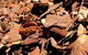 Earthborn Australia - thumb 2