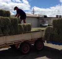 Proserpine Rural - LBG