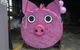 Farmyard Feeds Mackay - thumb 0
