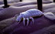 Nu-Style Carpets & Pest Control - thumb 3