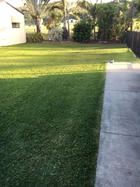 Hillside Turf - LBG 0