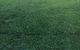 Hillside Turf - thumb 1