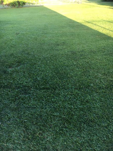Hillside Turf - LBG 1