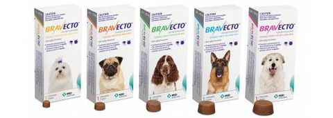 Burnett Mobile Vet - LBG 3