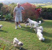 Valley View Pet Resort - LBG