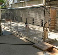 Eumundi Pet Resort - LBG