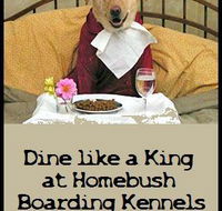 Homebush Boarding Kennels  Cattery - LBG