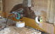 Aristocut (Townsville) Pty Ltd - thumb 8