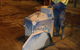 Aristocut (Townsville) Pty Ltd - thumb 19