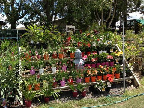Riverview Garden & Landscape Supplies - LBG 3