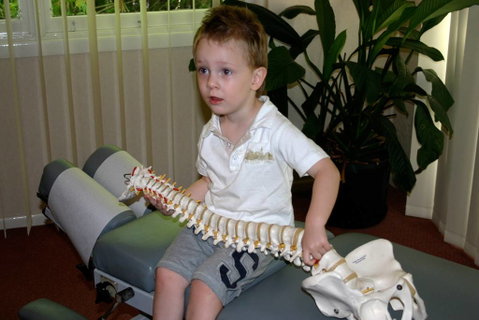 Dive Chiropractic Centre - LBG 5