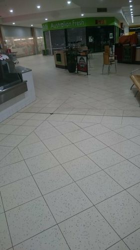 Dynamic Floor Care & Surface Protection - LBG 1