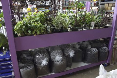 Port Garden & Hydroponics - LBG 1