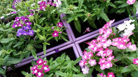 Port Garden & Hydroponics - LBG 2