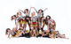 Rory Williamson School Of Dance - thumb 2