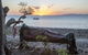 Remote Area Dive - thumb 3