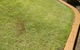 G-Dogs Garden Edging - thumb 0