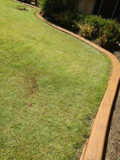 G-Dogs Garden Edging - LBG 0