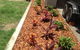 G-Dogs Garden Edging - thumb 5