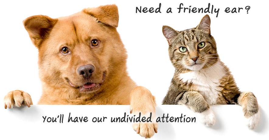 Counselling Services Cairns City QLD LBG