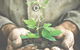 Mackay Baptist Care Counselling Service - thumb 0