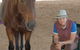 Equine Alliance - thumb 1