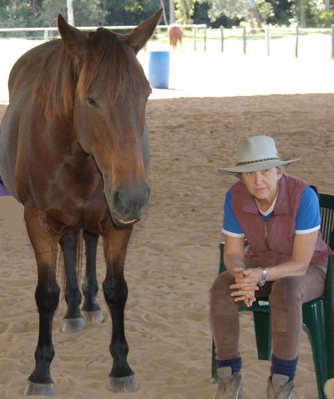 Equine Alliance - LBG 1